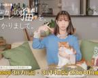 《他比前男友更炙热》电视剧